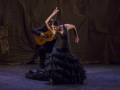 Baile y guitarra en «Patrimonio Flamenco».